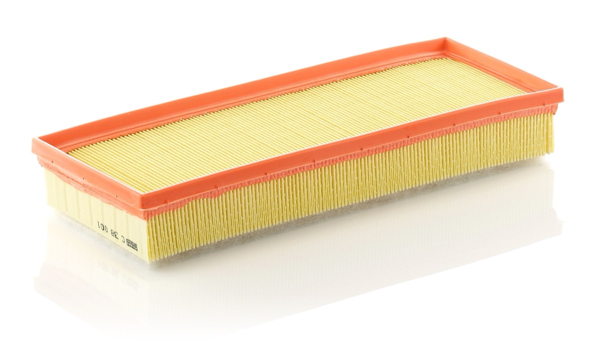 Mann-Filter C 38 001 Air Filter