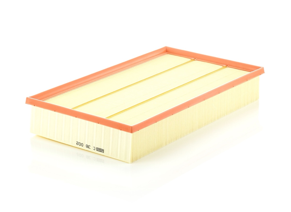 Mann-Filter C 38 002 Air Filter