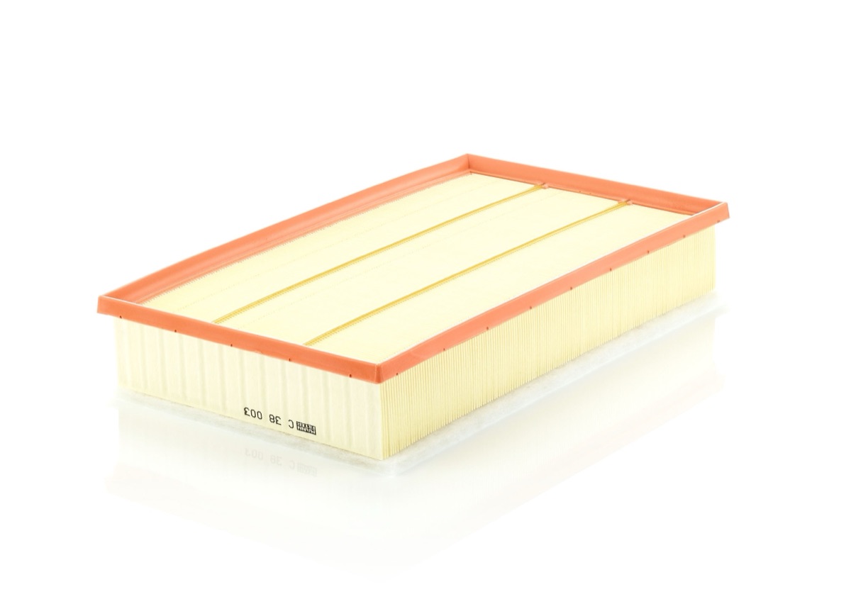 Mann-Filter C 38 003 Air Filter