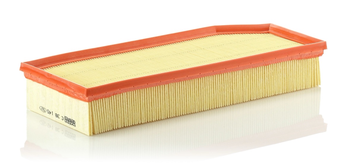 Mann-Filter C 38 145 Air Filter