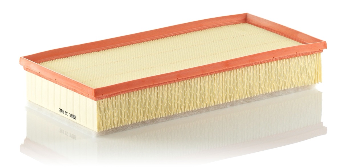 Mann-Filter C 39 002 Air Filter
