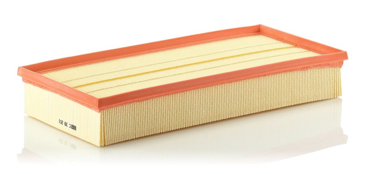 Mann-Filter C 39 201 Air Filter