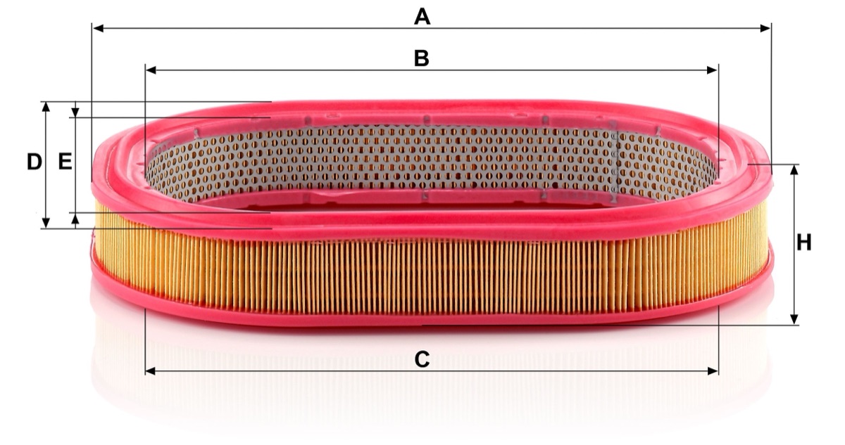 Mann-Filter C 3975/1 Air Filter