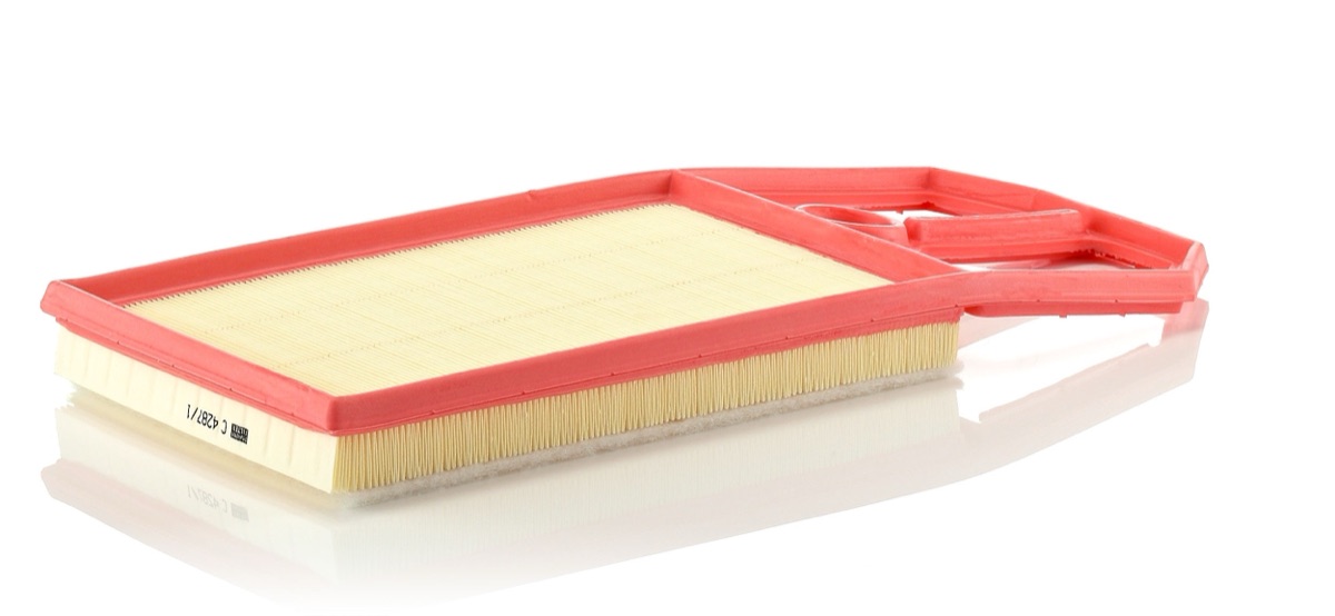 Mann-Filter C 4287/1 Air Filter