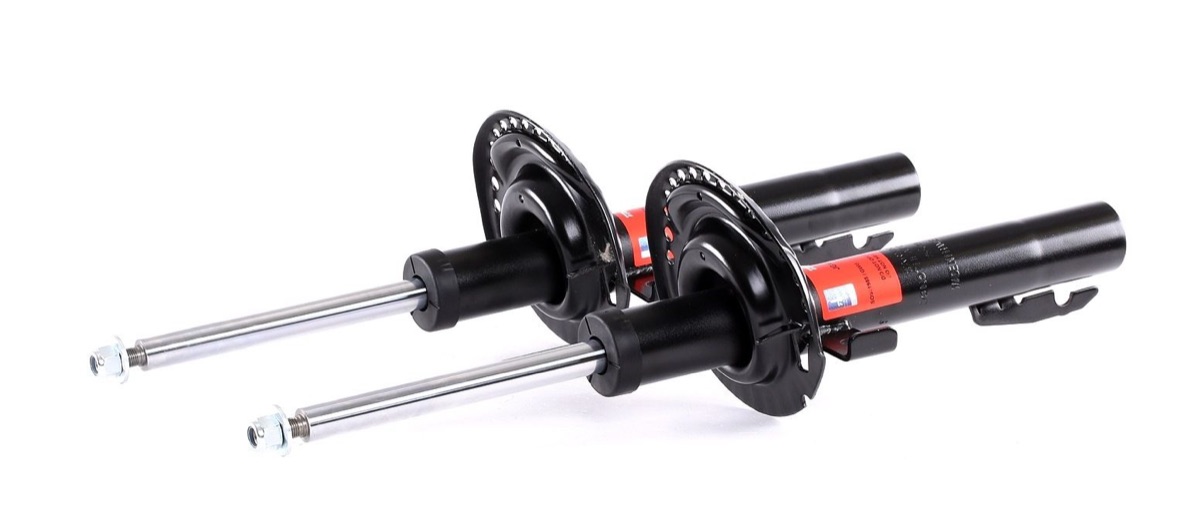 TRW JGM598T Twin Shock Absorber