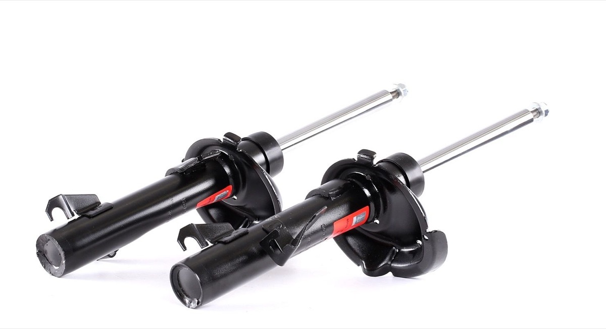 TRW JGM6289T Twin Shock Absorber
