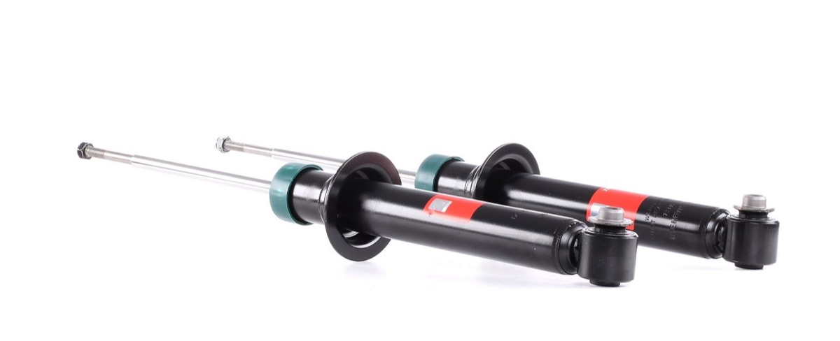 TRW JGS160T Twin Shock Absorber