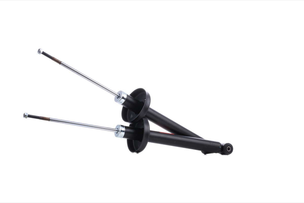 TRW JGS181T Twin Shock Absorber