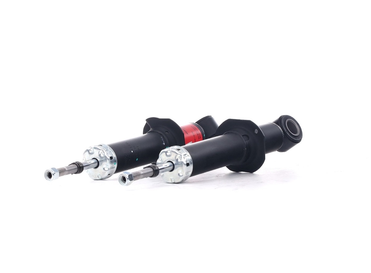 TRW JGS254T Twin Shock Absorber