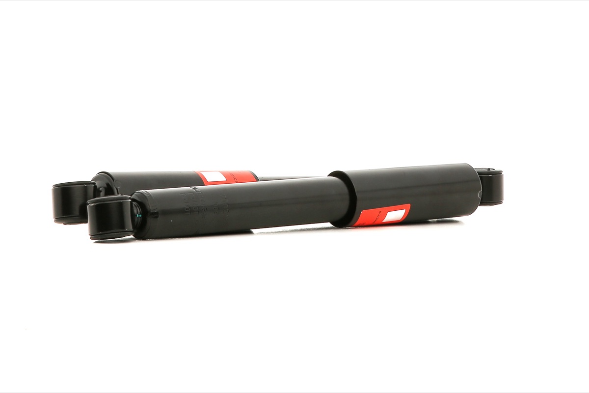 TRW JGT1324T Shock Absorber