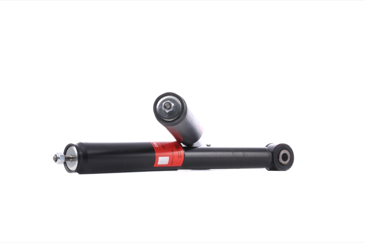 TRW JGT381T Twin Shock Absorber