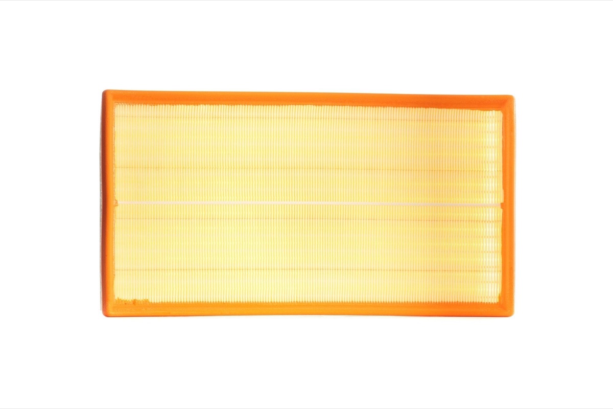 Mahle LX 3031 Air Filter