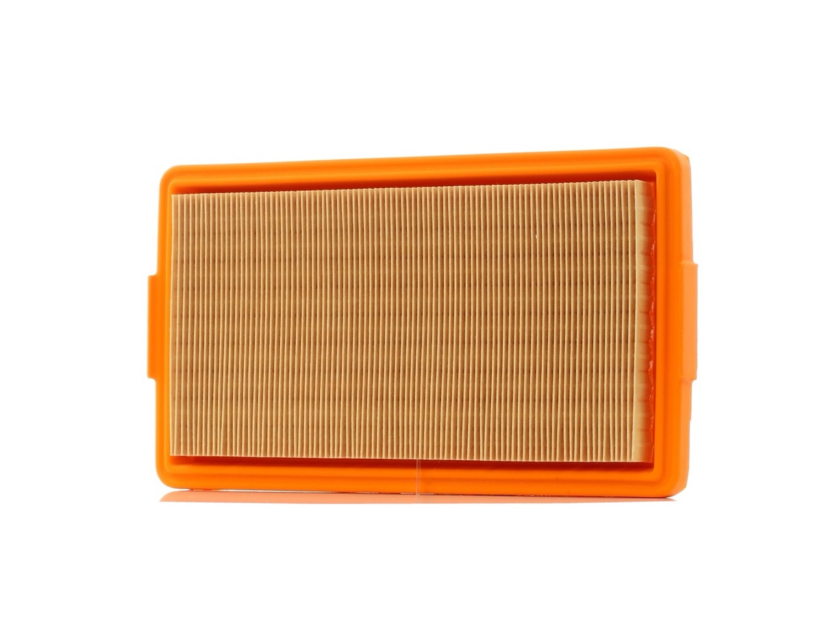 Mahle LX 36 Air Filter