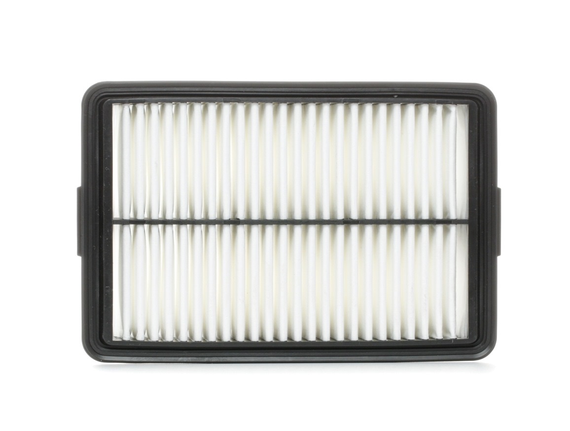 Mahle LX 4567 Air Filter