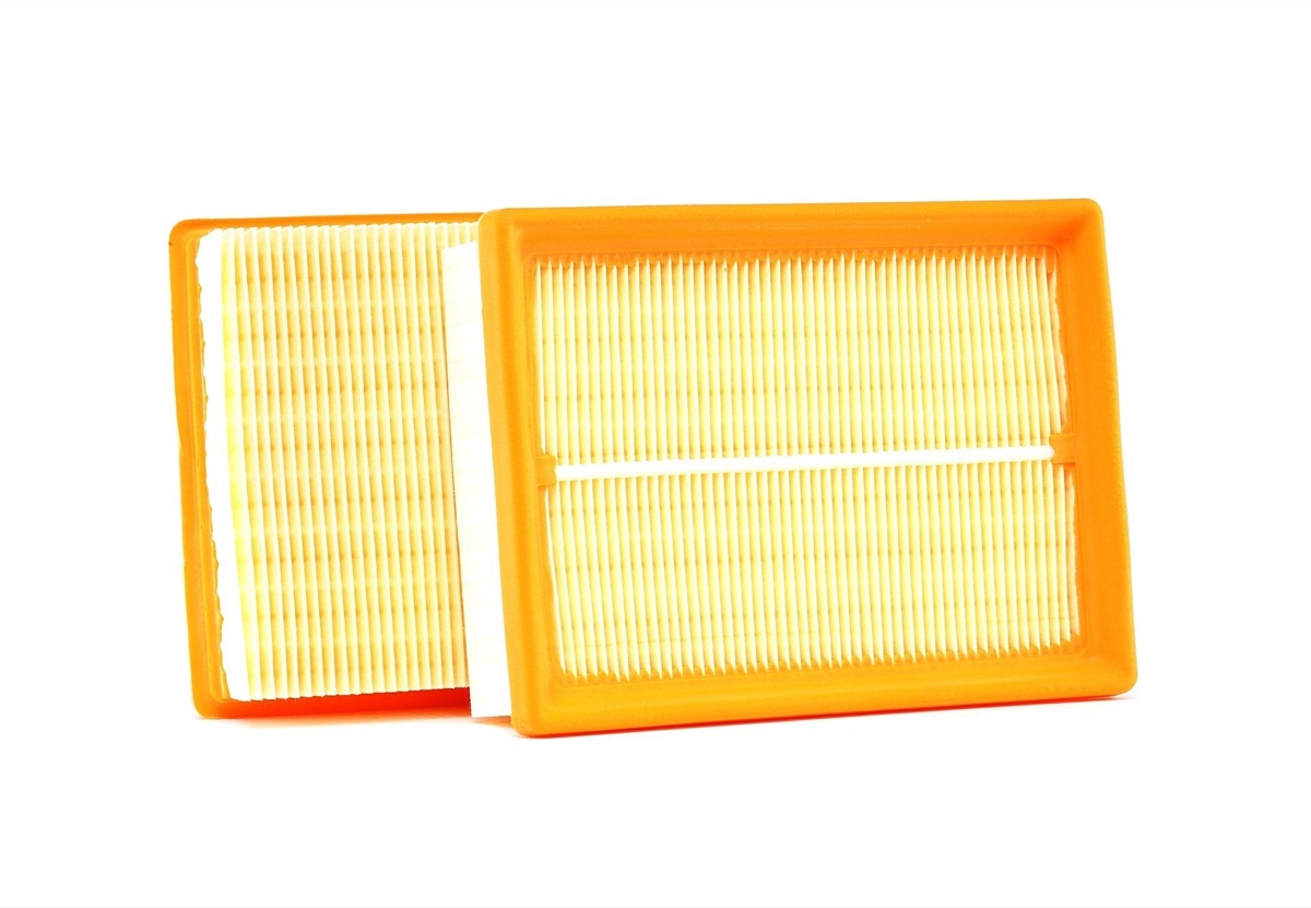Mahle LX 925/S Air Filter