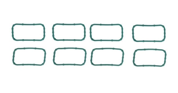 Mahle MS19589 Inlet Manifold Gasket