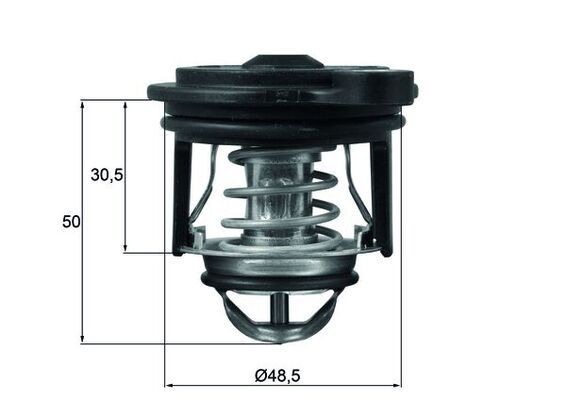 Mahle TI 246 50 Thermostat