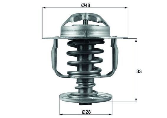 Mahle TX 110 82D Thermostat