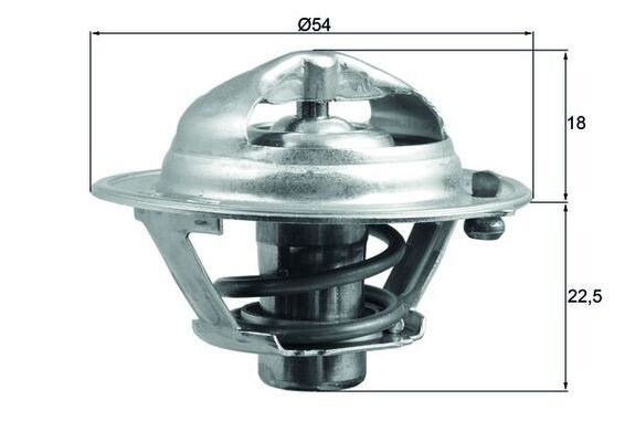 Mahle TX 166 90D Thermostat