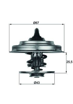Mahle TX 18 65D Thermostat