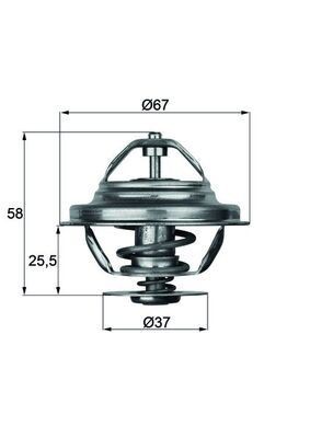 Mahle TX 20 71D Thermostat