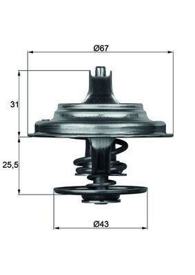 Mahle TX 23 71D Thermostat