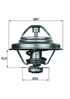 Mahle TX 24 87D Thermostat