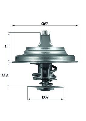 Mahle TX 25 80D Thermostat