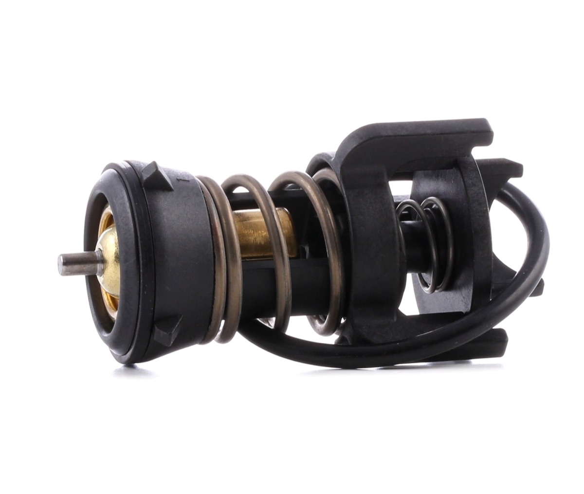Mahle TX 251 94D Thermostat