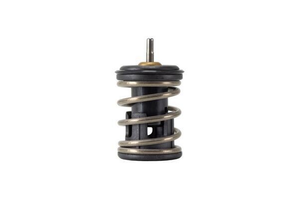 Mahle TX 253 105D Thermostat