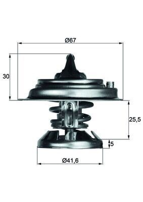 Mahle TX 29 80D Thermostat