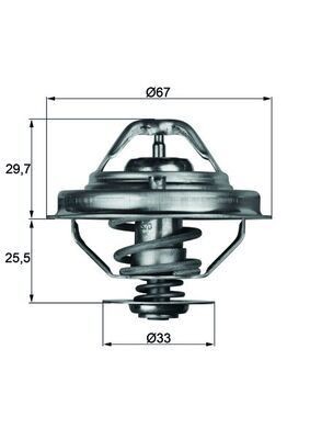 Mahle TX 38 88D Thermostat