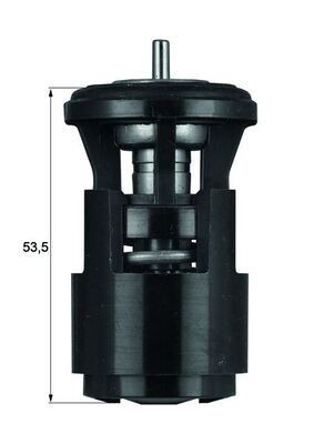 Mahle TX 41 80D Thermostat