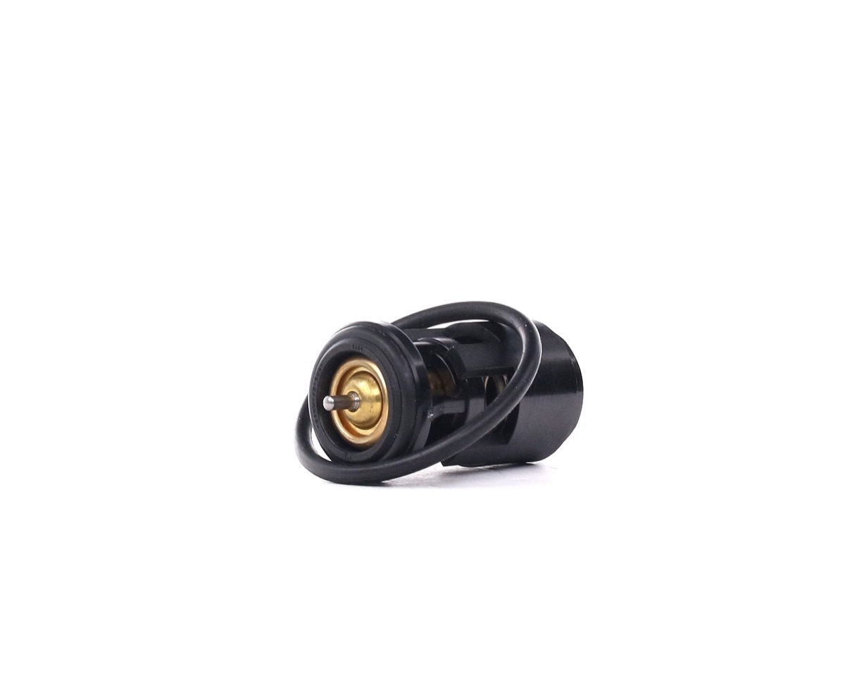 Mahle TX 41 87D Thermostat