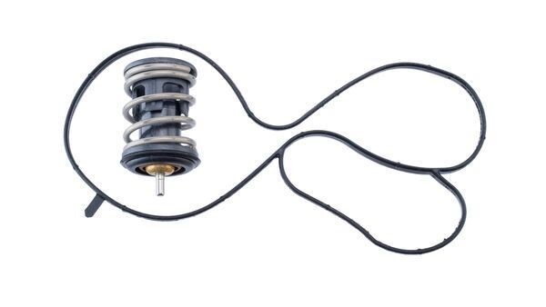 Mahle TX 489 97D Thermostat