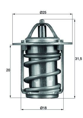 Mahle TX 6 83 Thermostat