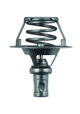 Mahle TX 66 91D Thermostat