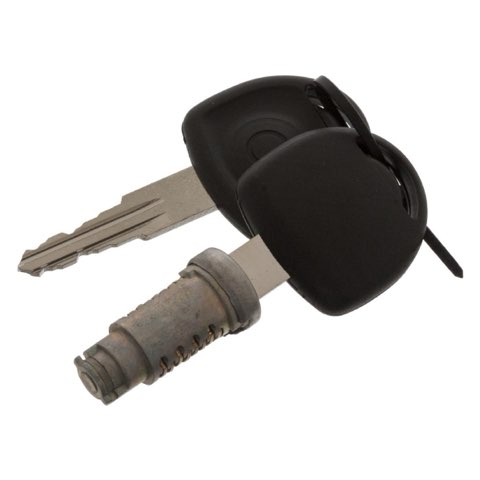 Febi Bilstein 02041 Lock Barrel
