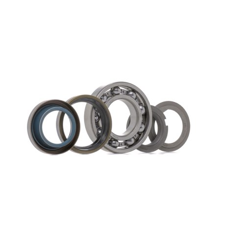 Febi Bilstein 05423 Wheel Bearing Kit