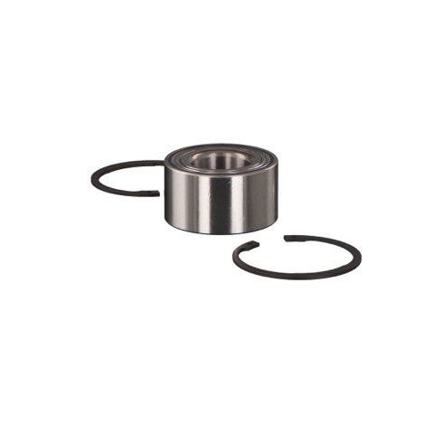 Febi Bilstein 05895 Wheel Bearing Kit
