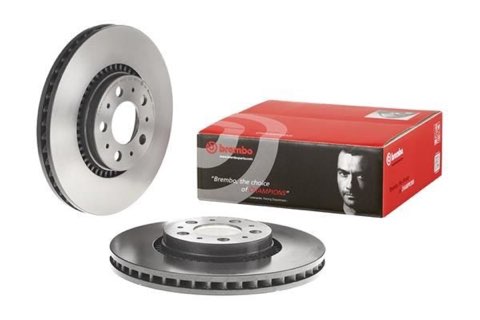Brembo Prime 09.9130.11 Brake Disc — Front 305mm, photo 4