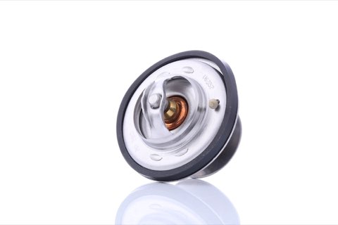 Febi Bilstein 09675 Thermostat