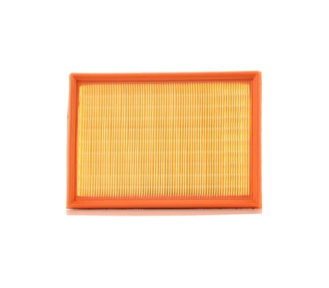 Bosch 1 457 429 791 Air Filter