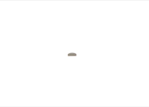 Bosch 1 900 023 005 Spring, photo 2