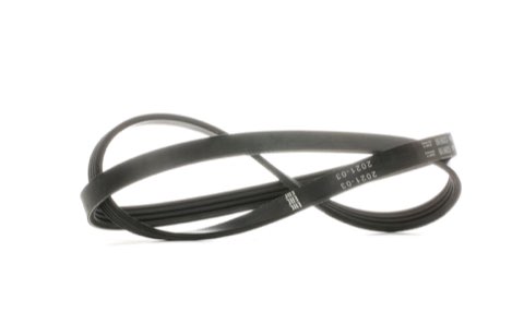 Bosch 1 987 946 081 Serpentine Belt