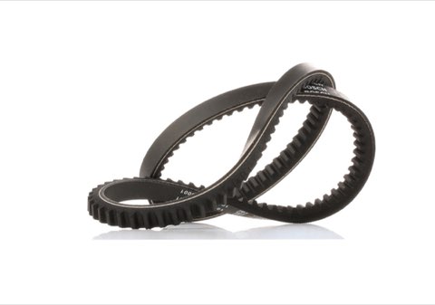 Bosch 1 987 947 781 V-Belt