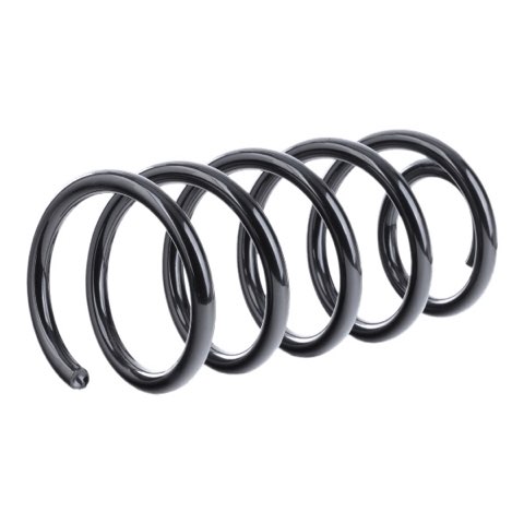 Febi Bilstein 1008670 Coil Spring