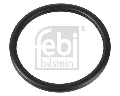 Febi Bilstein 10255 Gasket, Thermostat