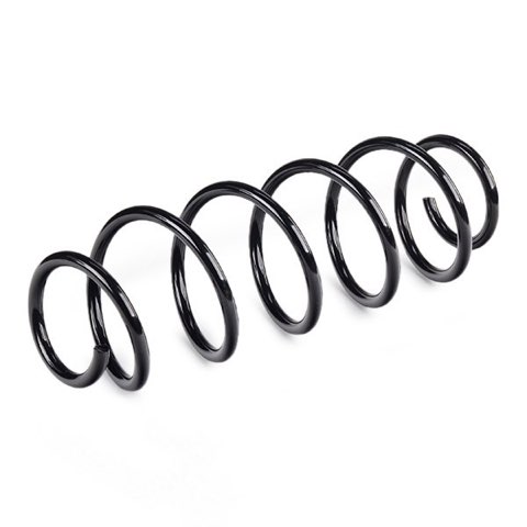 Febi Bilstein 104704 Coil Spring, photo 3