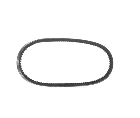 Ridex 10C0004 V-Belt